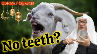 ✨🆕 Can I sacrifice an animal with NO TEETH for Qurbani or Udhiya? assim al hakeem JAL