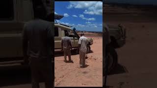 Stuck In The Wilderness