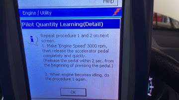 PILOT LEARN PROCEDURE & injector compensation codes - p1601