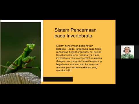 Fisiologi pencernaan hewan invertebrata dan vertebrata