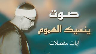 أروع ما قد تسمعه أذناك | الشيخ محمود عبدالحكم