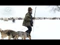 Unterwegs mit dem Winterschäfer (Michael Cadenazzi)