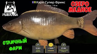 НОВАЯ РАБОЧАЯ ТОЧКА НА МЕДНОМ? СТРИМ В РУССКОЙ РЫБАЛКЕ 4 СТРИМ РОЗЫГРЫШИ РР4