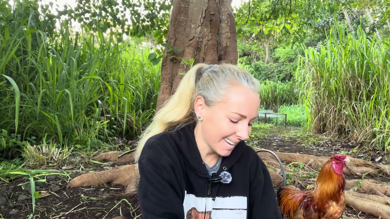 Your clearing karma from a past life in Atlantis…💥 