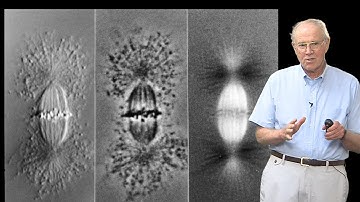 Microscopy: Differential Interference Contrast (DIC) Microscopy (Edward Salmon)