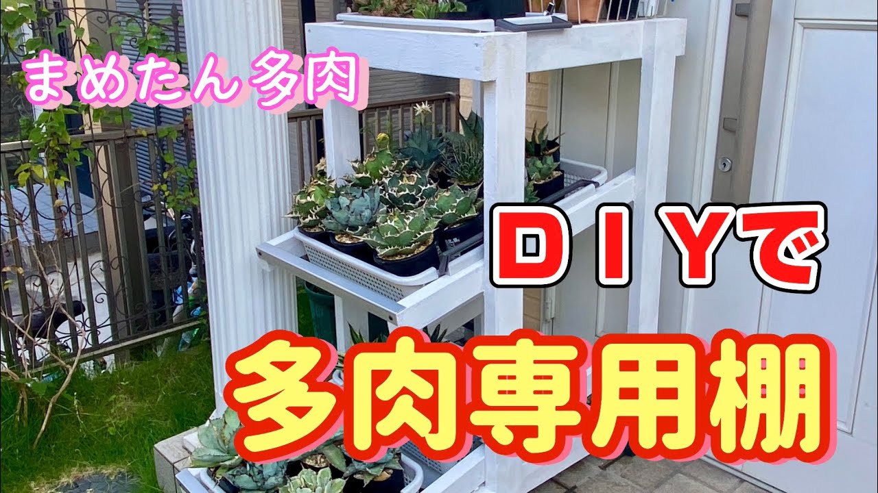 DIYで多肉専用棚つくりました。 - YouTube
