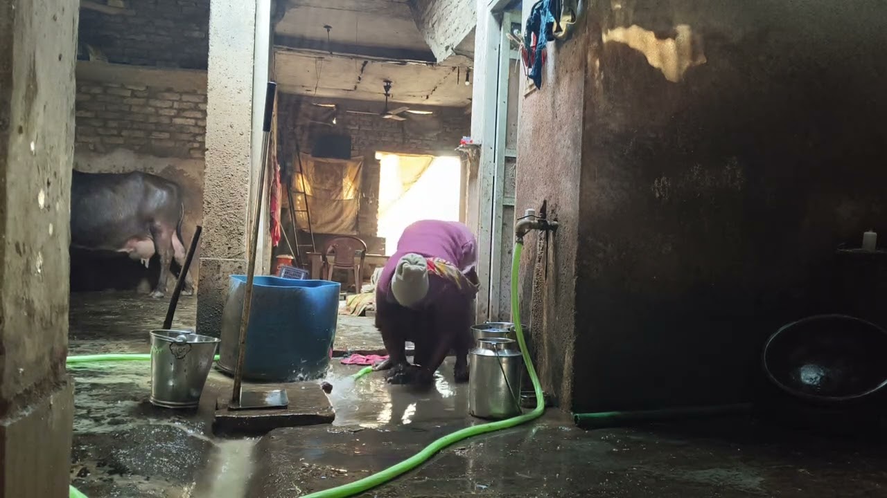 बहुत दिनों बाद ठंड की धूप में कपड़े धोते हुए हालत खराब हो गई 