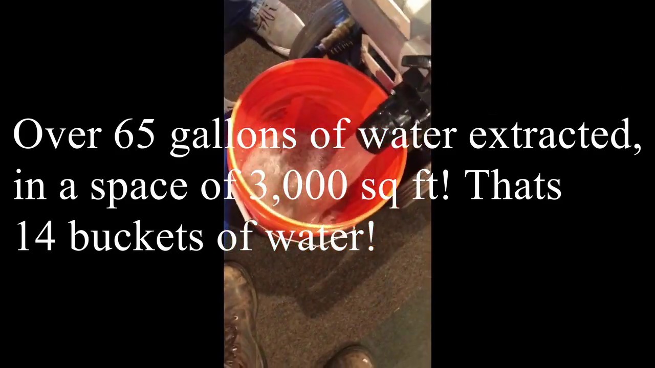 Carpet Restored by Restora-Rug (Flood Damage)