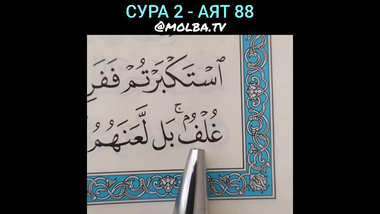 сура аль имран 19 аят. суры аяты слушать. суры аяты слушать. аят аль курси текст. сура аль бакара 185.