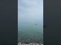 23 мая 2025 года, вода бомбовая #сочи #сириус