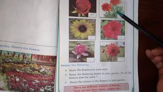 2nd Std EVS Plants of Backyard Part 2 Flowers