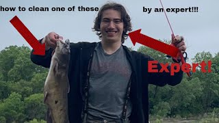 How to Clean a Catfish (quick and easy)
