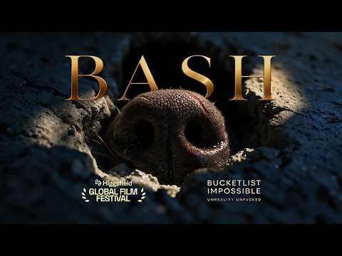 BASH
