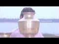Velluvachi Godaramma Vellakila Paddadammo Songs Devatha Shobhan Babu Sridevi
