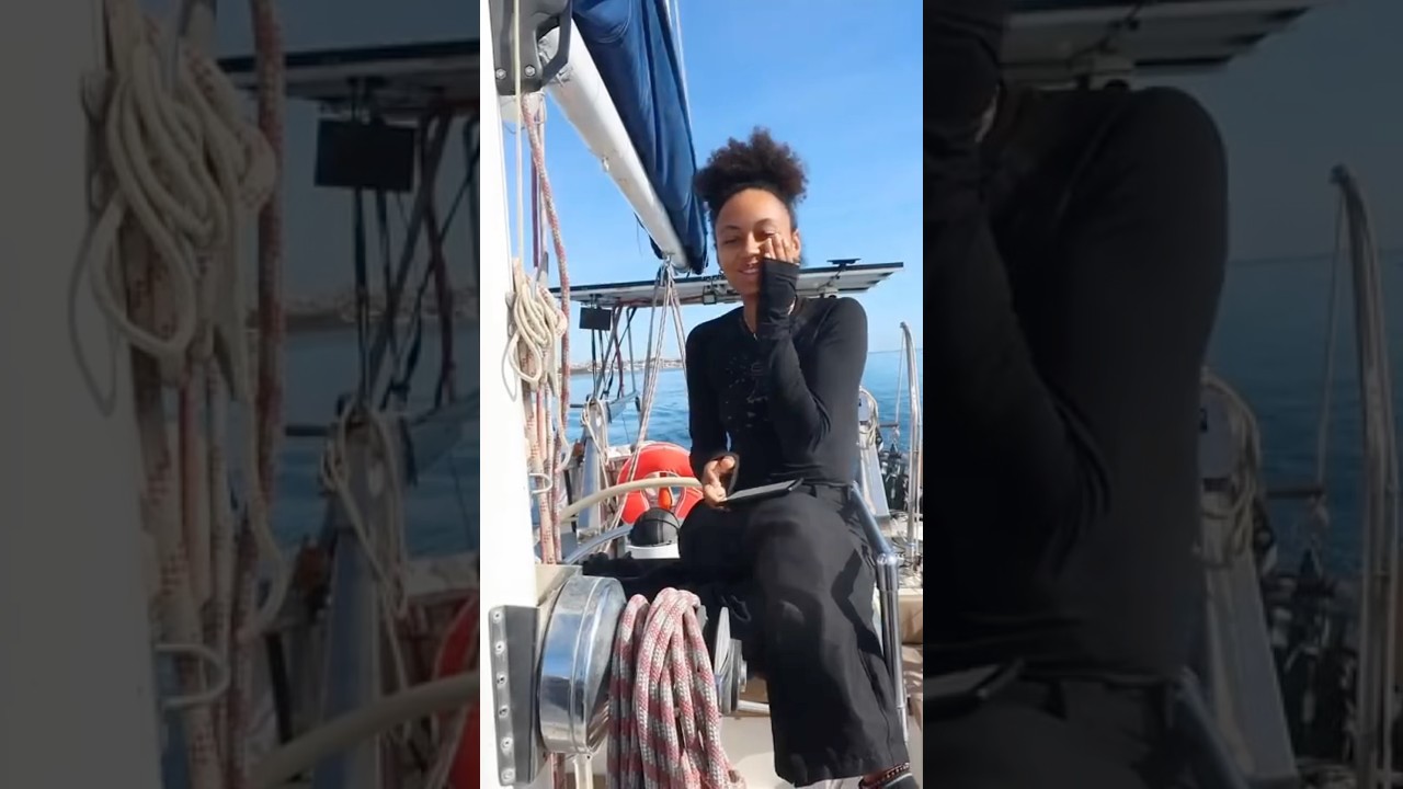 ⁣Comment faites-vous pour éviter les orques ? 🐋⛵️