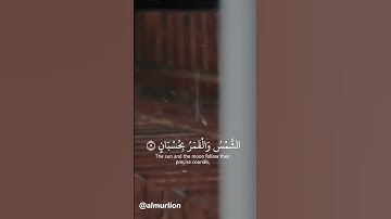 سورة الرحمن / #ياسر_الدوسري  #الرحمن #قرآن #القرآن_الكريم #تلاوة_خاشعة #القران_الكريم #تلاوة #تلاوات