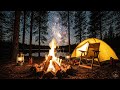 idnight Serenity: Cozy Campfire by the Starry Lake