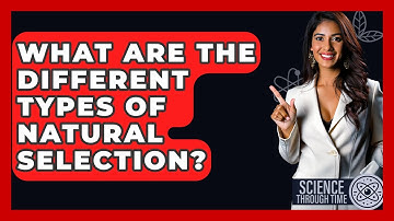 What Are The Different Types Of Natural Selection? - Science Through Time