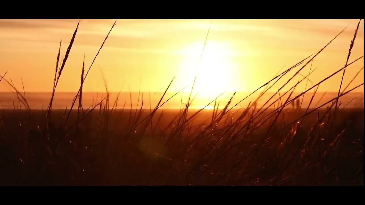 World nature(best view) like and comment and subscribe @rajasaabofficial0. 