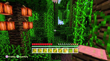 Minecraft: PlayStation®4 Edition Walkthrough Part 2