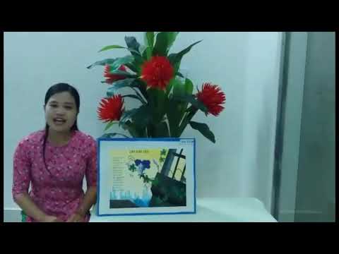 Dạy trẻ đọc thơ cây dây leo