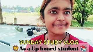 Sunday Study vlog 📚✨