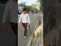 Dog #dog #puppy#puppies #reels #short #youtube #youtubeshorts #indian #viral #insta