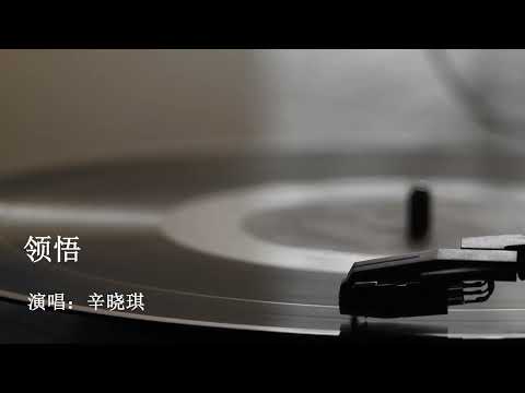 领悟 辛晓琪