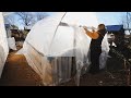 $100 Self Heating Greenhouse Is Finished