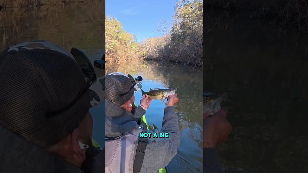 Попробуйте эту приманку Chatterbait возле Вудса! 