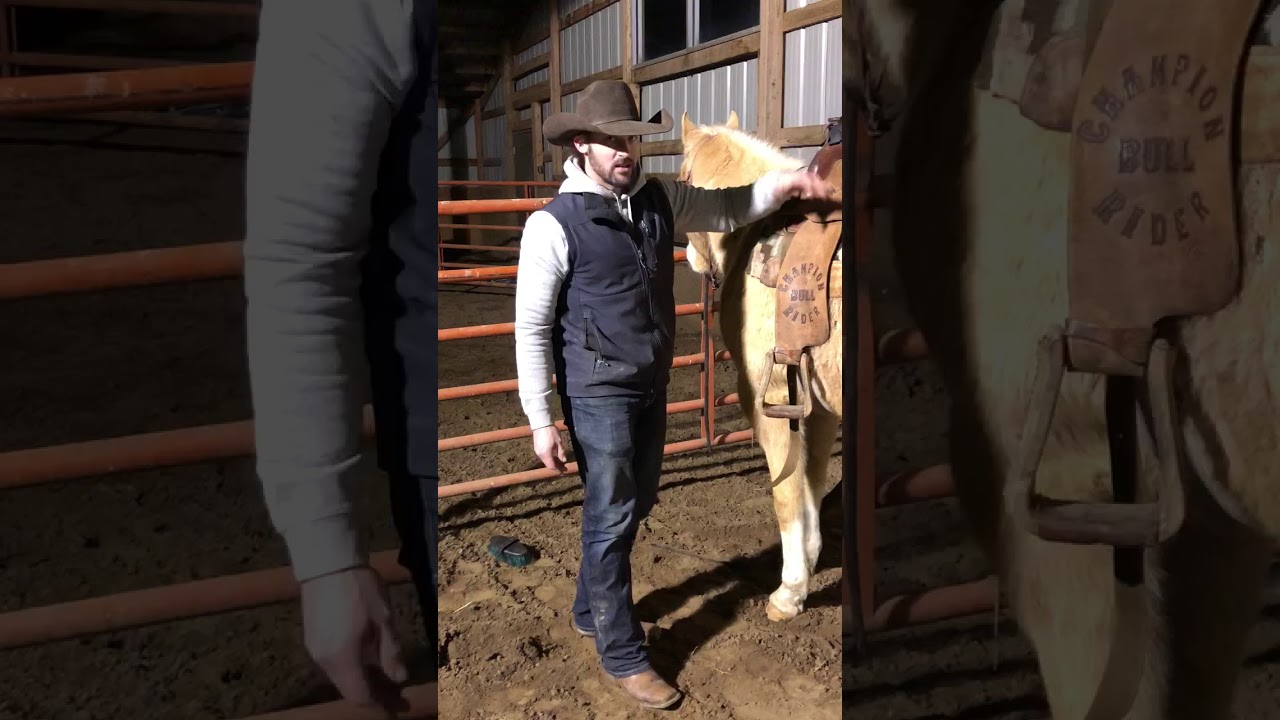 trim 4C21A819 A878 40D6 9BA8 3915F7BDC2AE