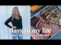 Days in the Life| Keto/Carnivore, 75 HARD week 2