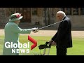 Queen Elizabeth knights Captain Tom Moore at Windsor Castle