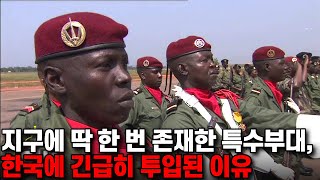 지구에 딱 한 번 등장했던 아프리카 특수부대, 한국에서 특수작전에 긴급 파견 온 이유