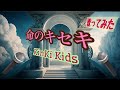 【歌ってみた】命のキセキ /KinKi Kids