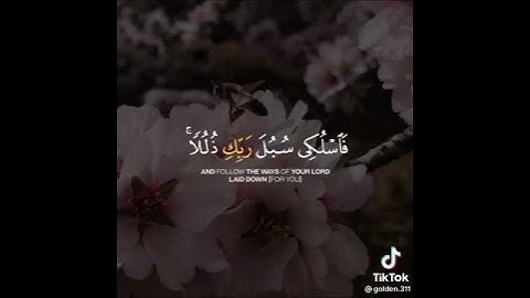 (وأوحى ربك الى النحل) | سورة النحل | حالات واتس اب دينية | بصوت خالد الجليل 🌿