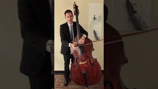 Up and Down Bow with German Bow on the double bass (upright bass)