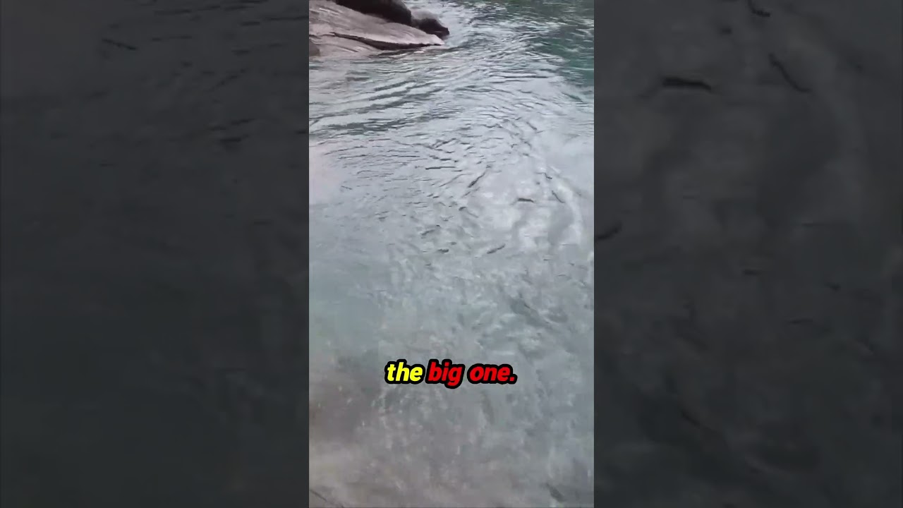 Solo Fishing Gone Crazy!