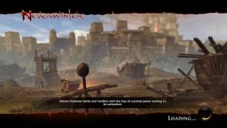 Neverwinter - Level 40 Human Paladin / Posion & Graves (Xbox One)