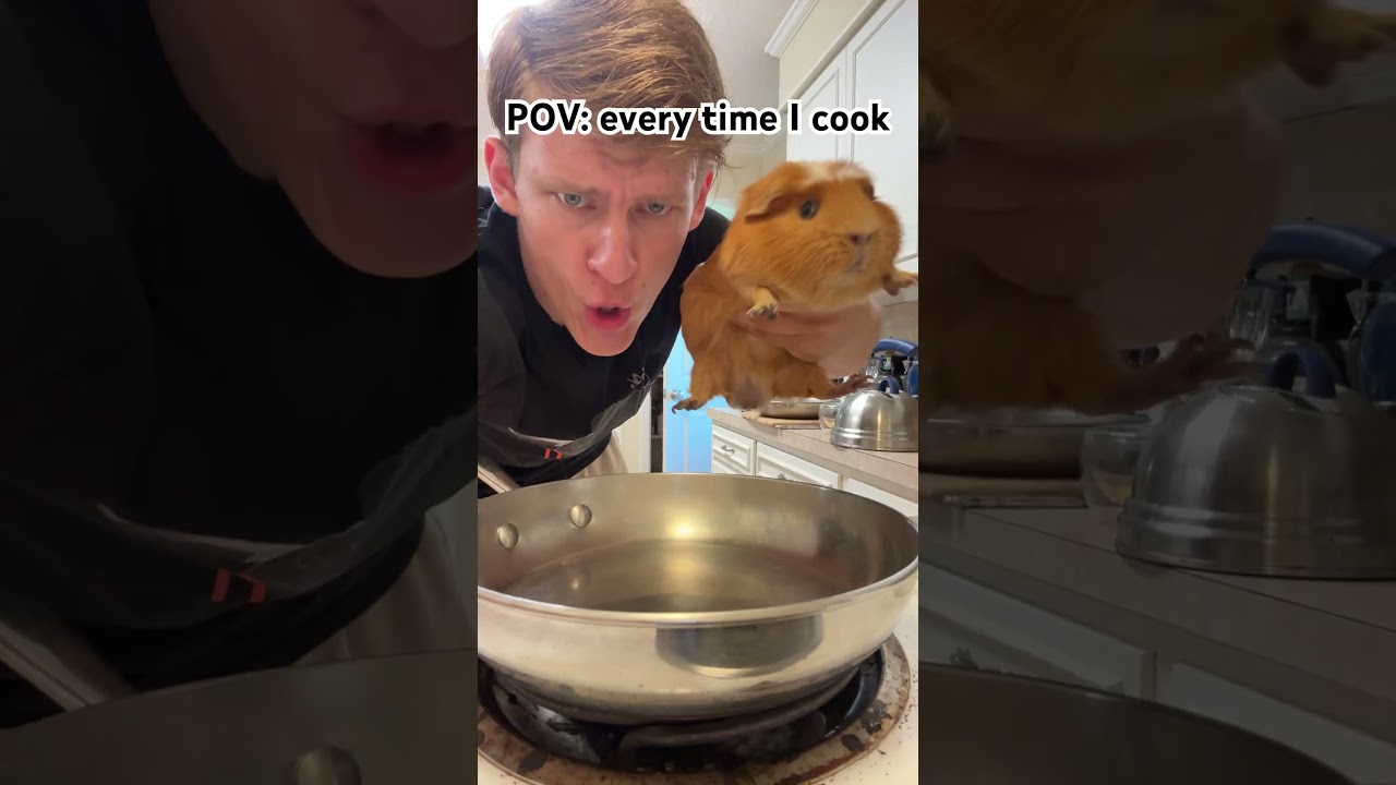 Мне нужны уроки кулинарии… 