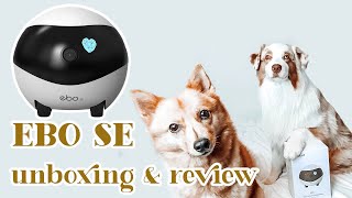 Flambo reviews the Ebo SE | Flambothedog by Flambo The Dog 2,754 views 2 years ago 3 minutes, 18 seconds