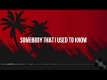 gotye - somebody that i used to know remix ( tropical house, deephouse )