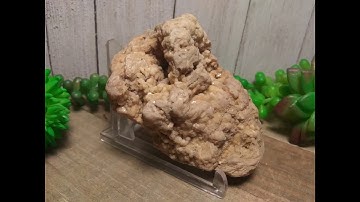 Forbidden Paleontology Written In Stone Mudfossils? Portablerockart? Geofacts? Or Interdimensional?