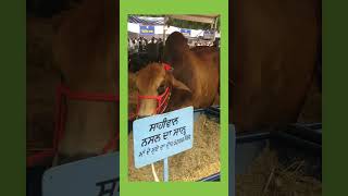 Punjab Agricultural University kisan Mela 14-15 sep 2023