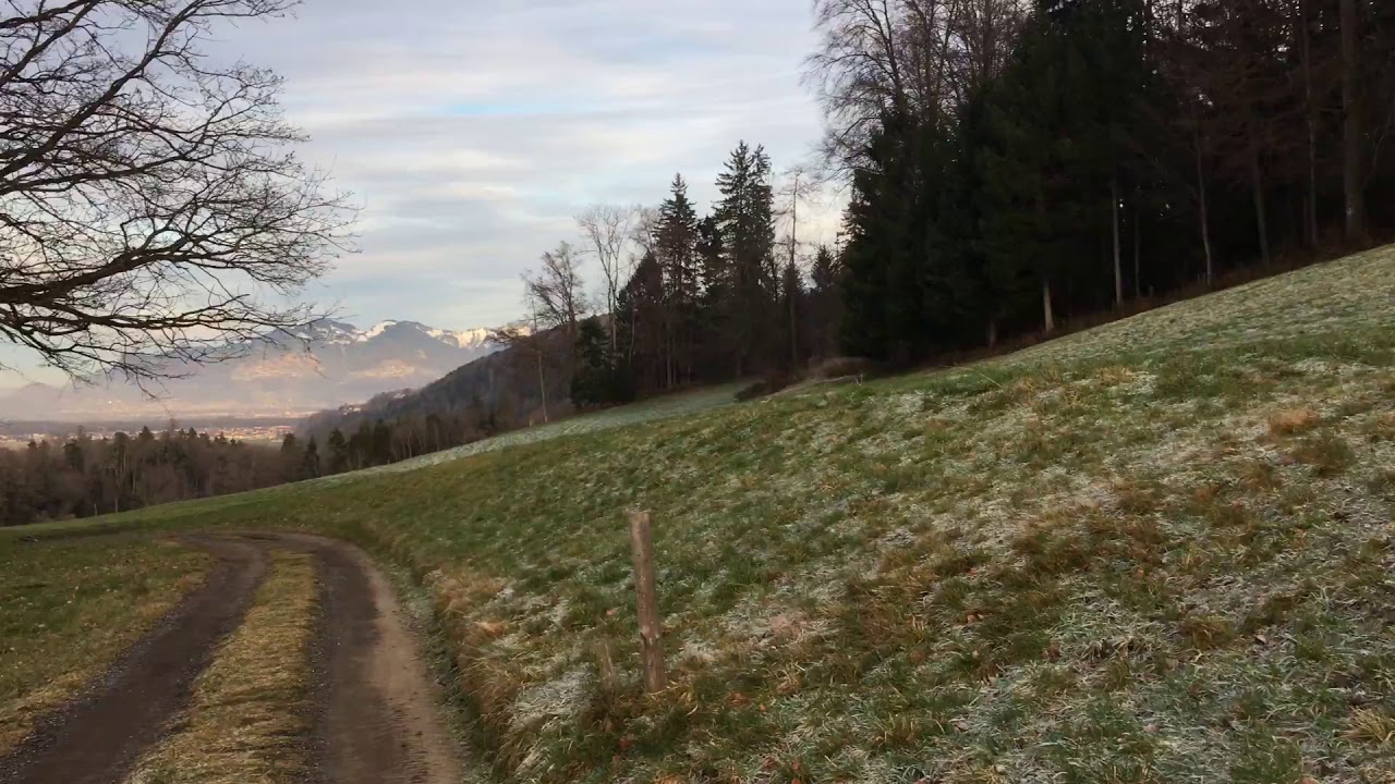 View from hills near Schellenberg (Schällabärg), Liechtenstein during a run