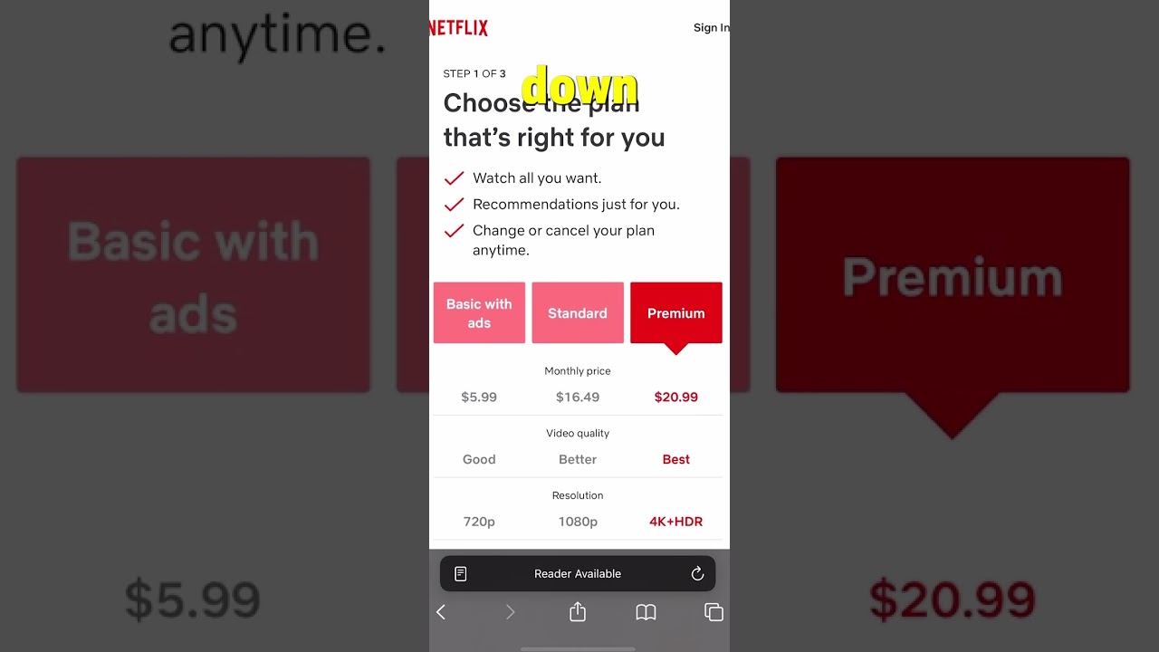 THE $9.99 PLAN NETFLIX DOESN'T WANT YOU TO SEE!! 