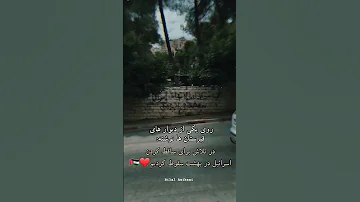 خدا تمام شهدای فلسطین ره رحمت کنه و به زنده هایش دعا موفقیت میکنم 
