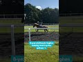 8yo kid heads up the gallops! He wants to be a jockey! 📹: Richard Hughes #horse #pony #horseracing