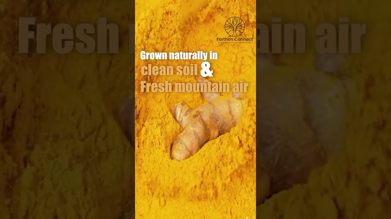 Earthen Connect