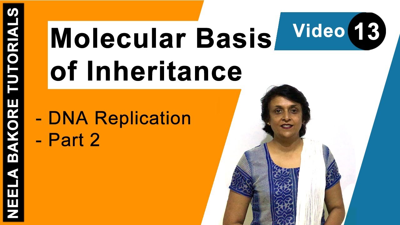 Molecular Basis of Inheritance - DNA Replication - Part 2 aiims result 2019